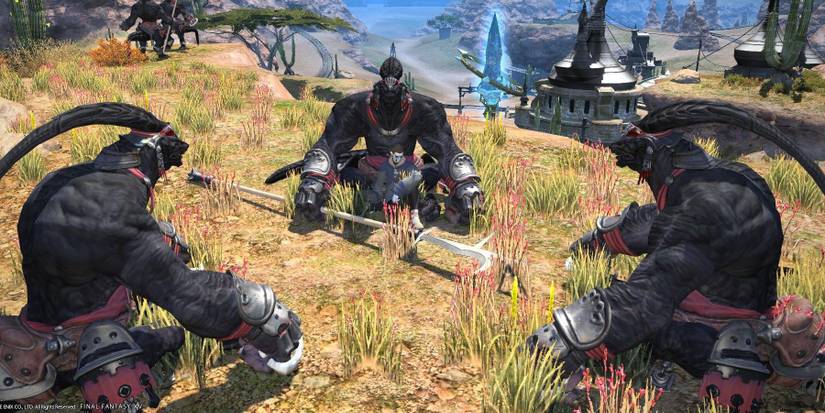 final fantasy xiv mmo amalj'aa