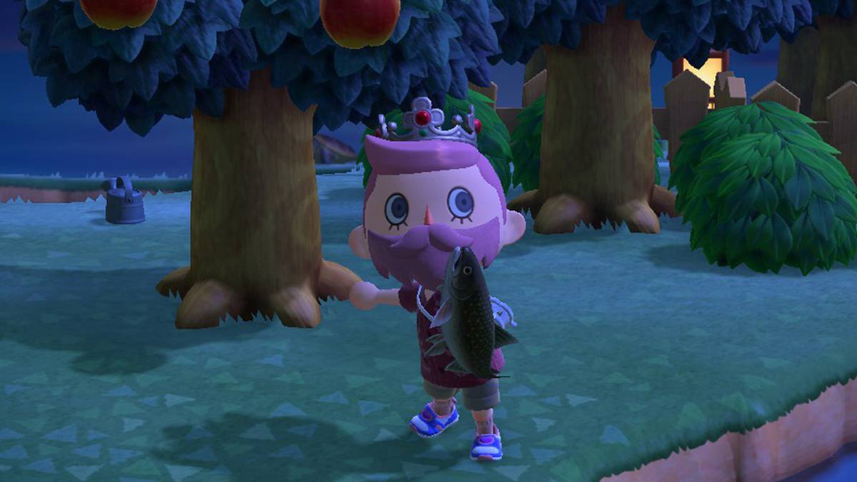 animal crossing new horizons fish char