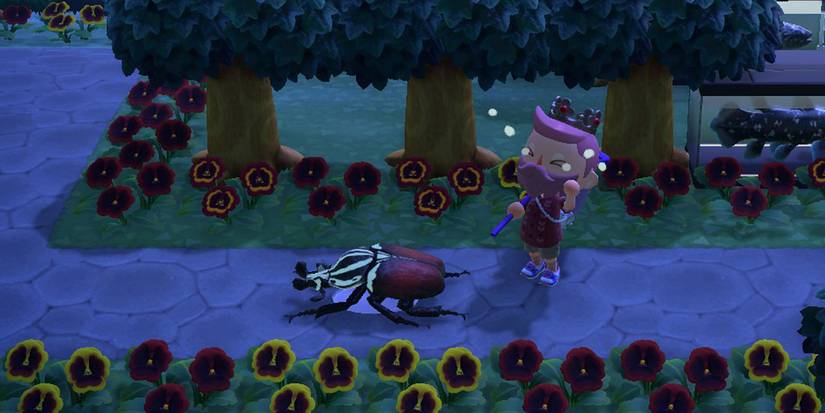 animal crossing new horizons goliath beetle crying reaction bugs