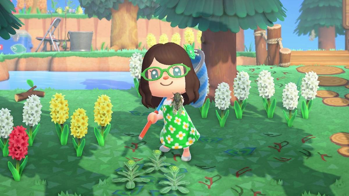 bug grasshopper acnh island