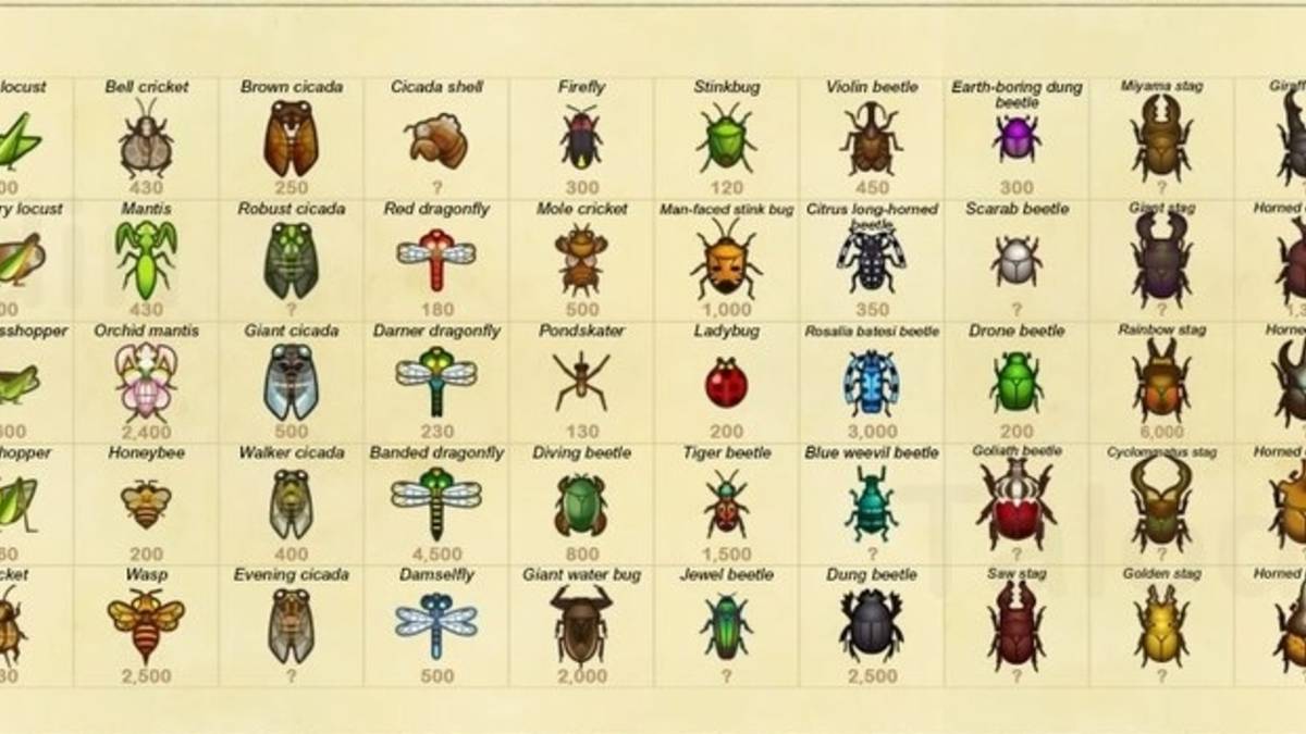 Animal Crossing New Horizons How to Catch Migratory Locust