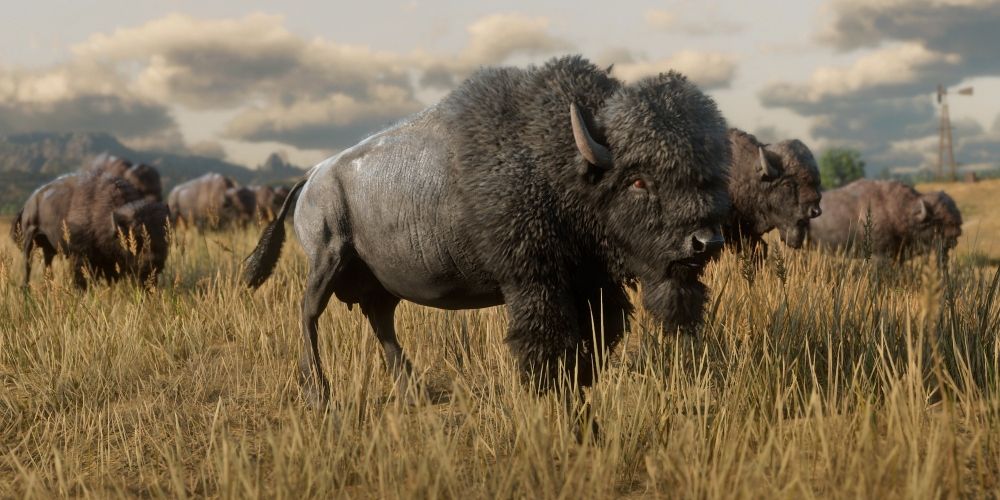 A bison in Red Dead Redemption 2