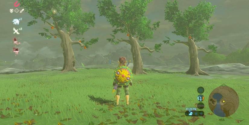 Link standing in front of apple trees