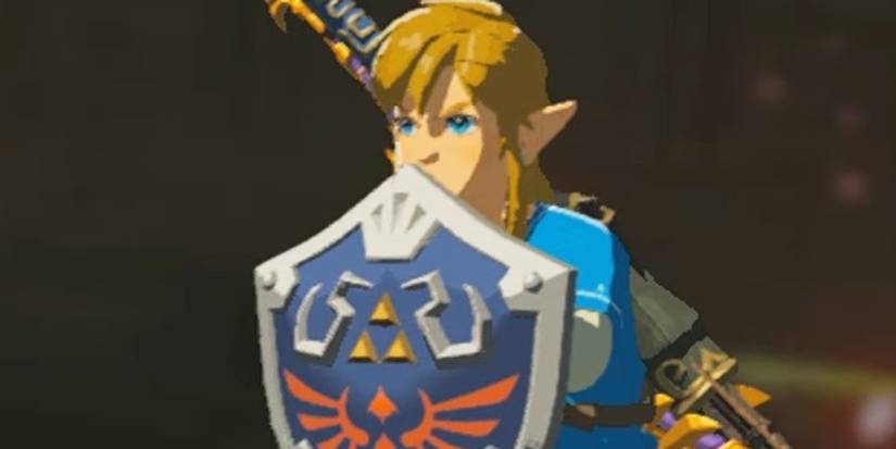 btow hylian shield Cropped