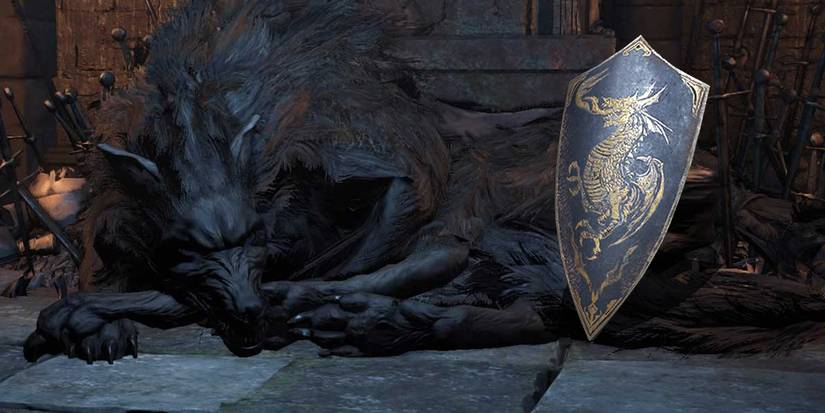 dark souls 3 Old Wolf of Farron dragonshield