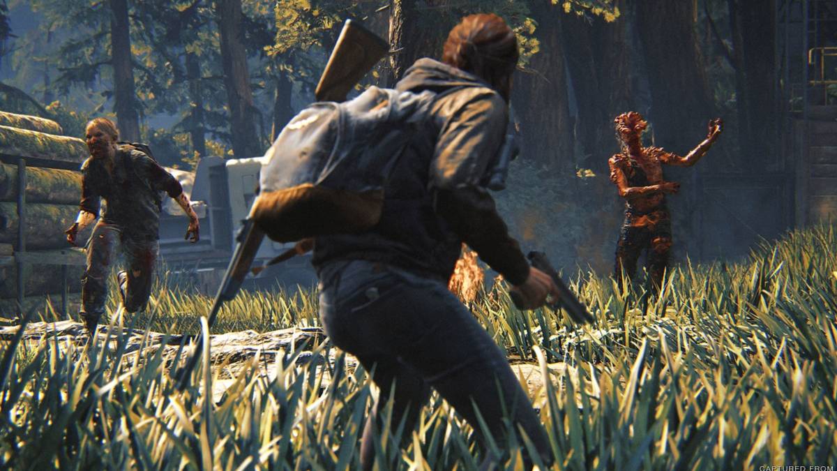 the last of us 2 grounded update