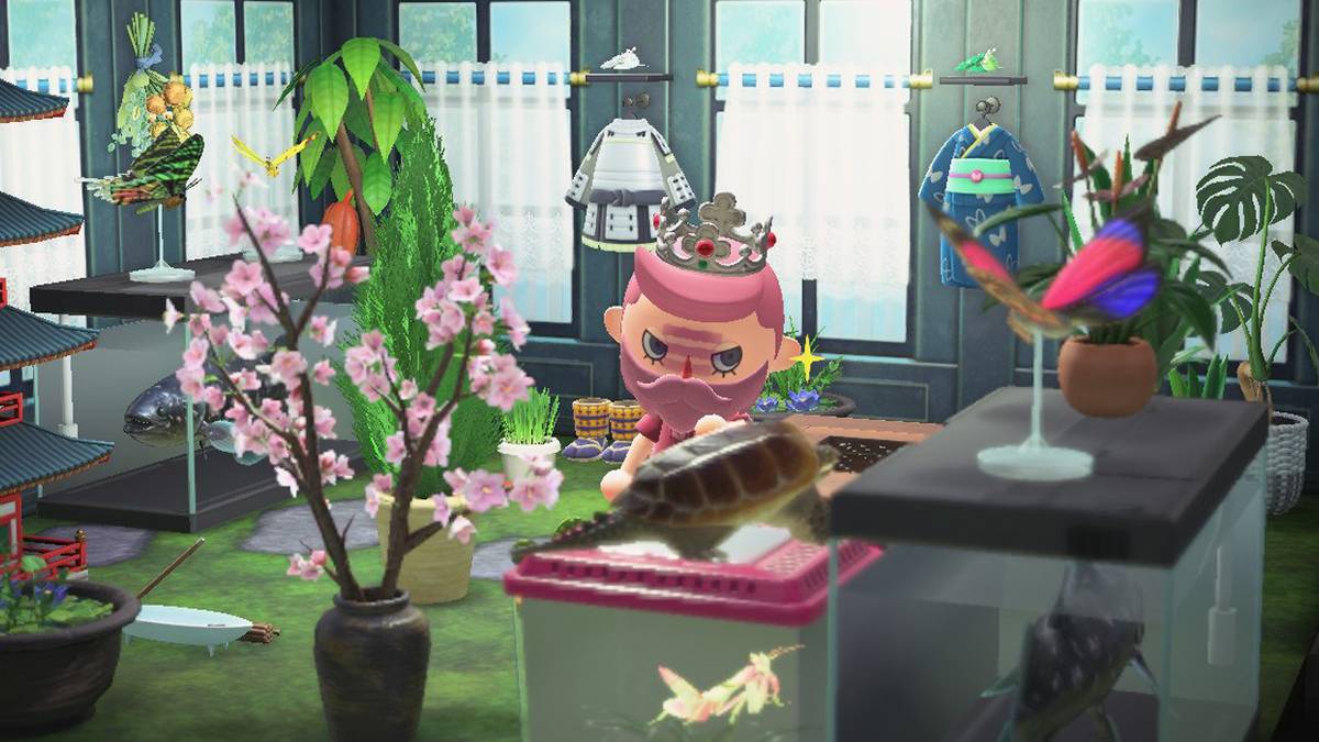 new horizons garden room orchid mantis