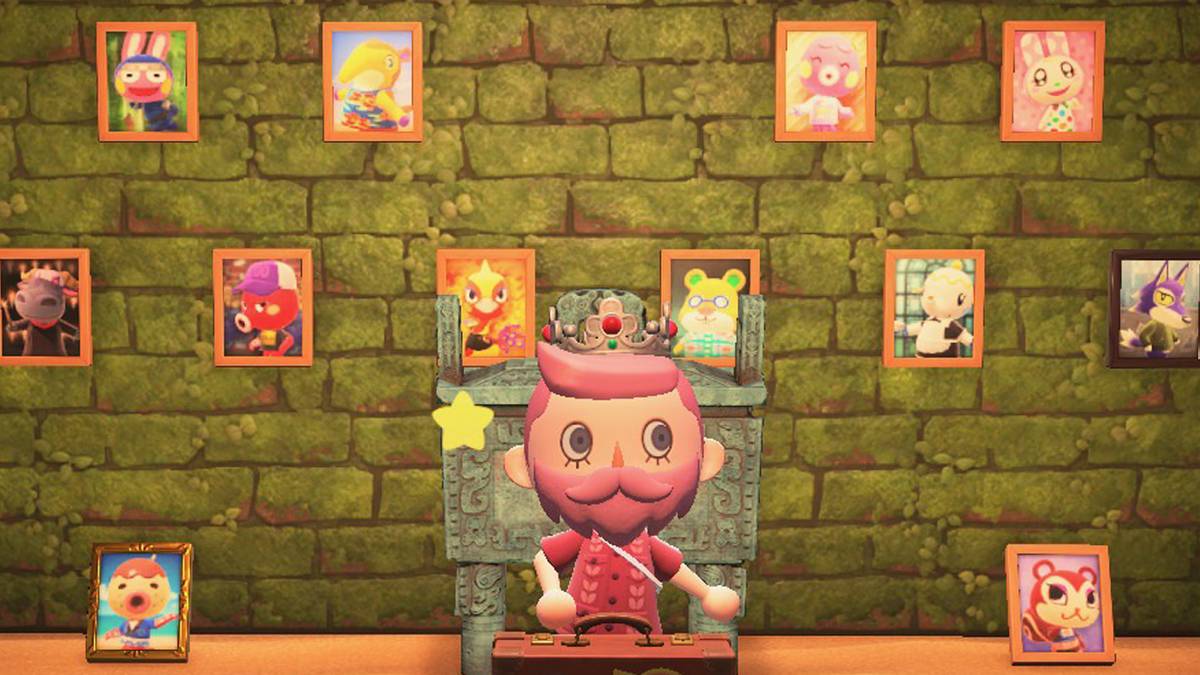 animal crossing new horizons islander picture room