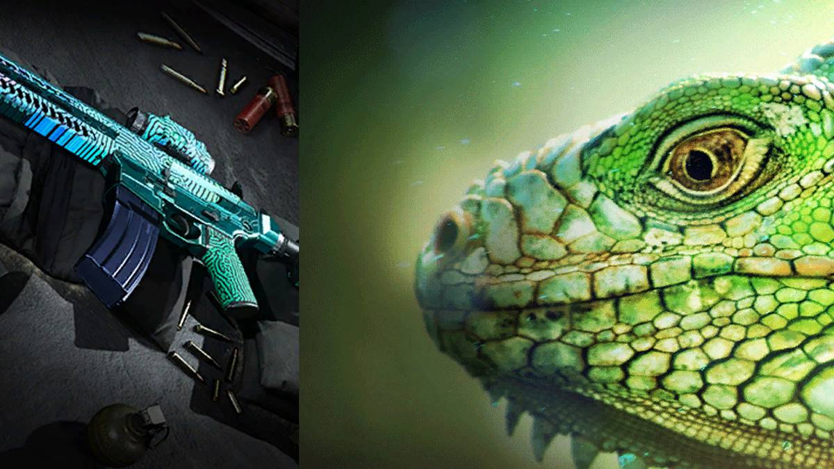 poison dart iguana and gun