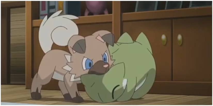 Rockruff