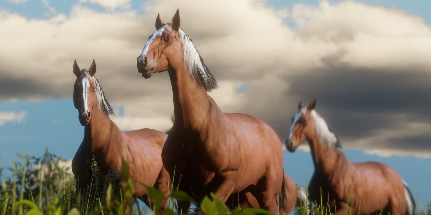 red dead redemption online multiple horses
