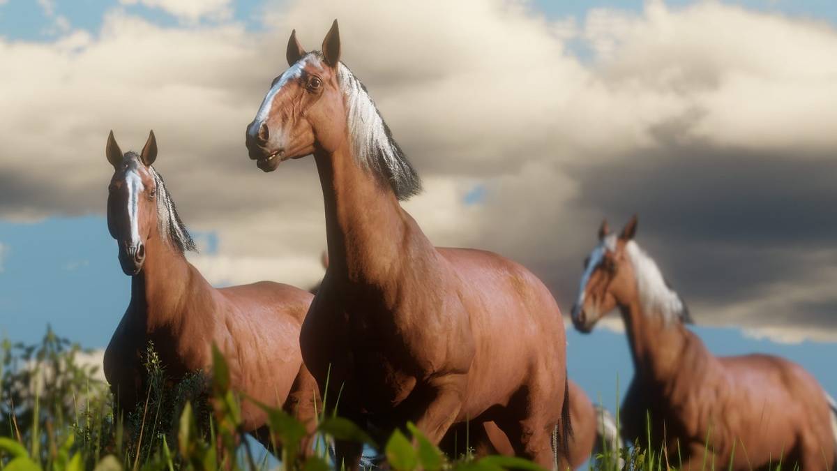red dead redemption online multiple horses