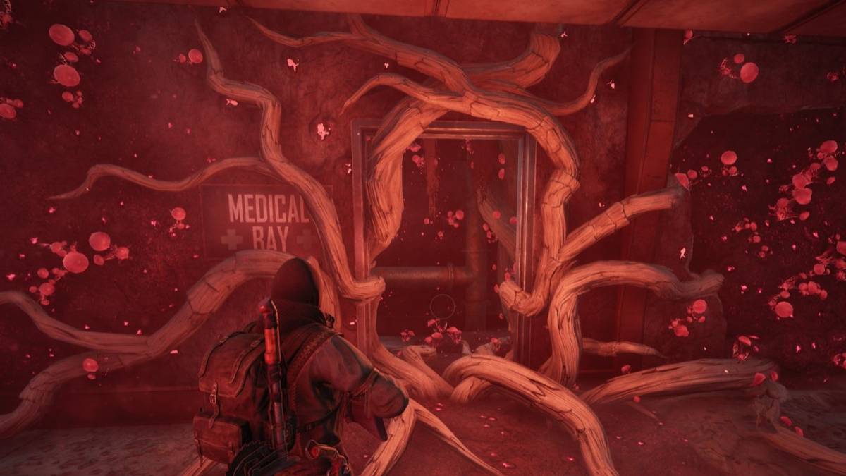 Remnant From The Ashes Ward Prime Location