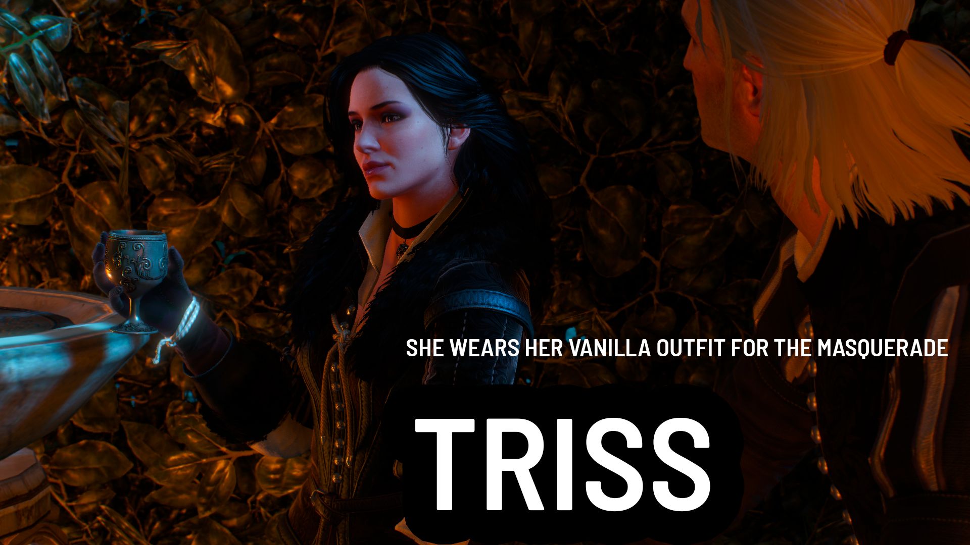 cd projekt red triss character replacement