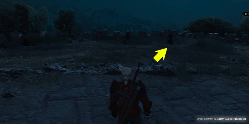 Regis and Detlaff fighting in the distance