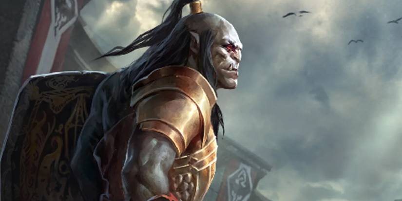 A Champion of the Arena