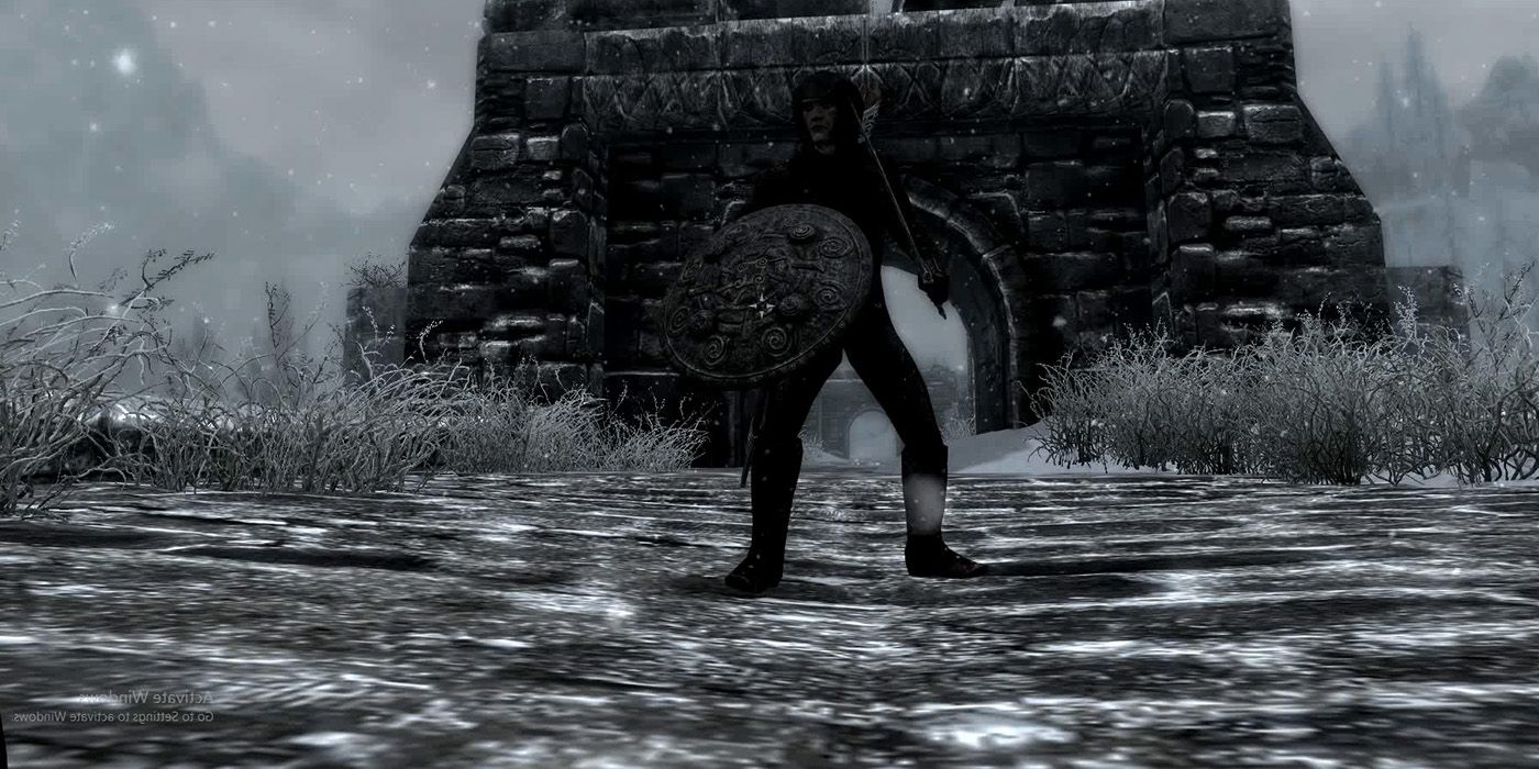 Player wielding a shield