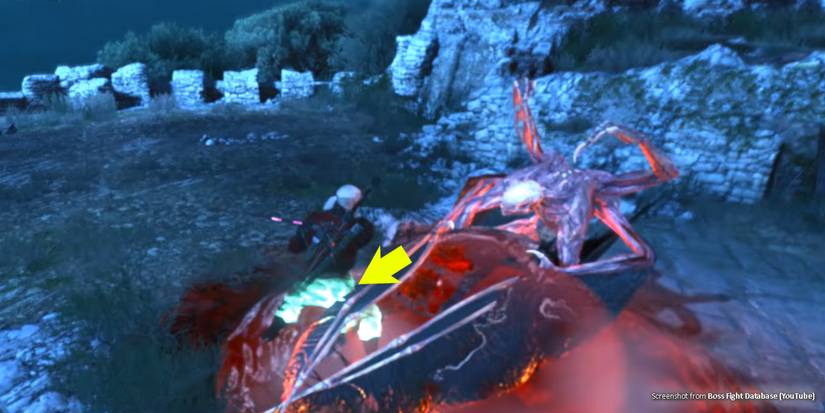 Geralt triggers Quen as Detlaff lands a hit