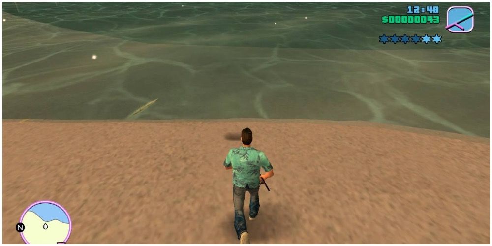 Томми бежит к воде на пляже