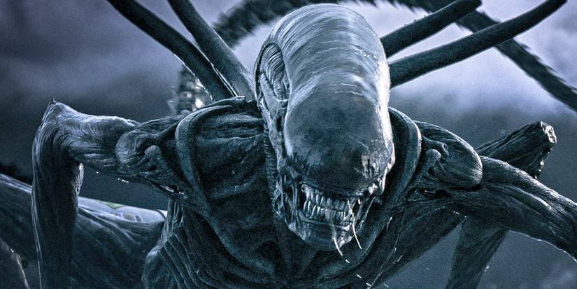 Alien Xenomorph in Ridley Scott