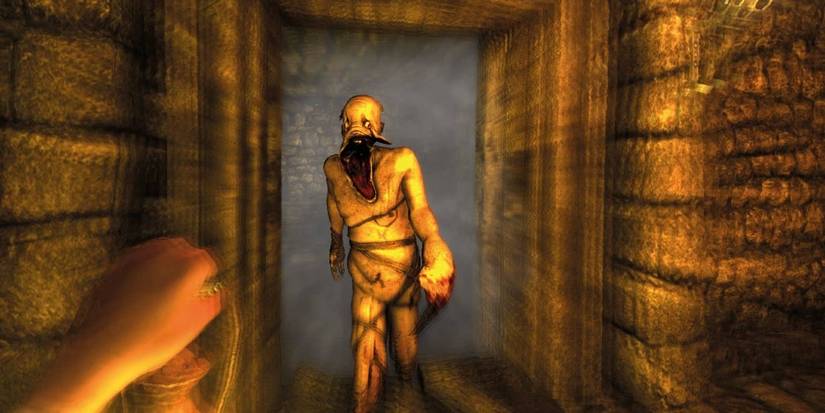 Amnesia the Dark Descent - Gatherer approaching player