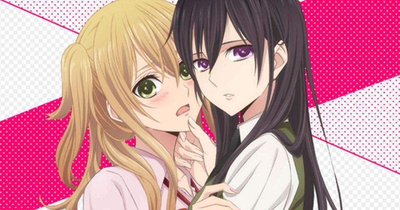 Citrus is a top pick for best Gay anime to watch