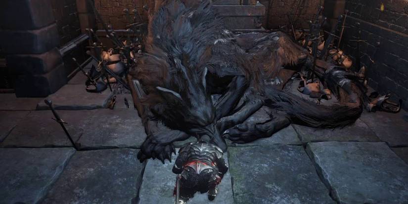 Dark Souls 3 Watchdogs of Farron (Old Wolf)