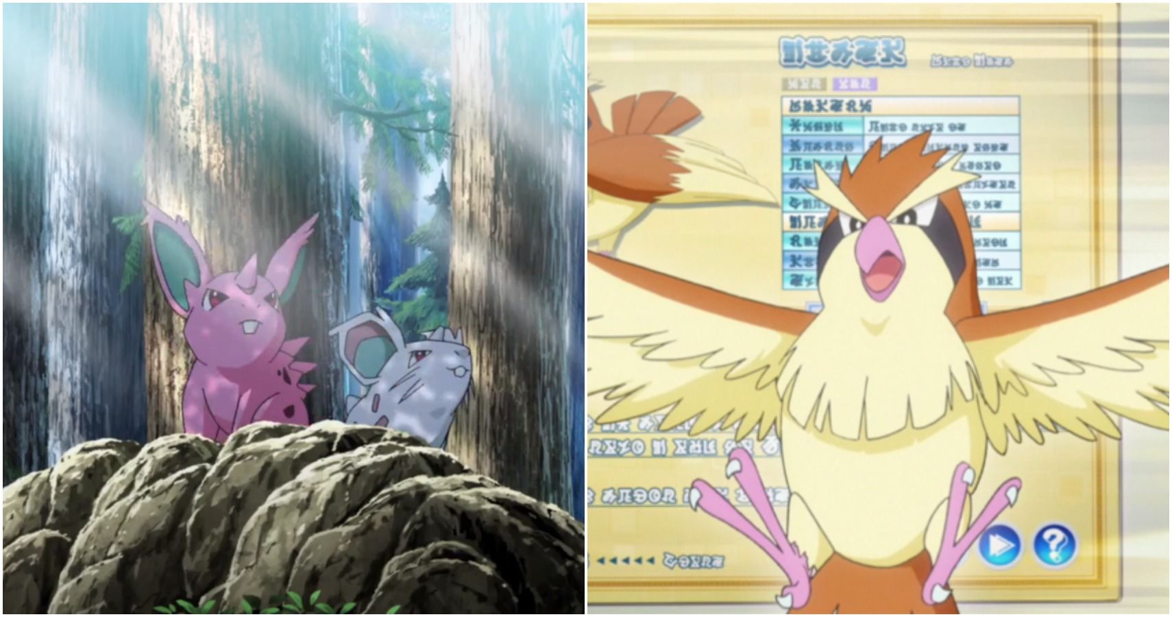 Pokemon Nidoran male and female anime, Red's Pidgey in Origins anime