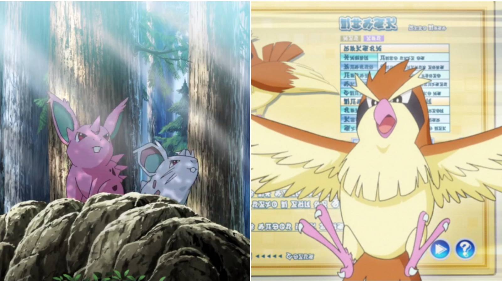 Pokemon Nidoran male and female anime, Red's Pidgey in Origins anime