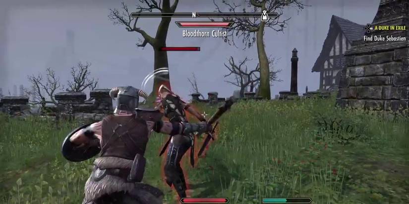 Player Slashes Enemy Action Combat Elder Scrolls Online