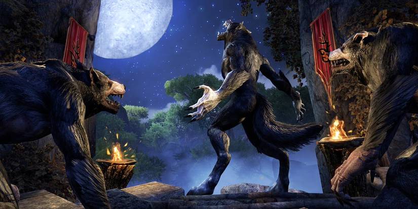 A group of Werewolves