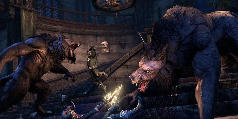 Werewolf Hunters and Werewolves in Combat