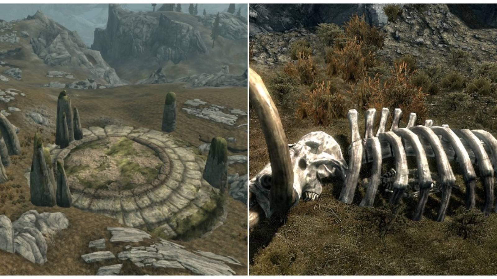 A dragon's tomb and a mammoth skeleton with a human in it