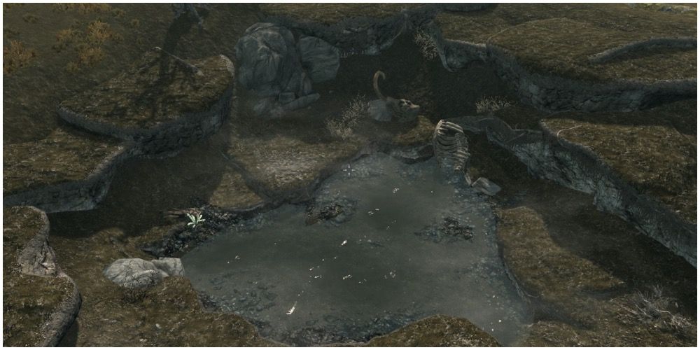 The pond with mammoth skeletons and bandit body