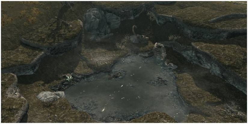 The pond with mammoth skeletons and bandit body