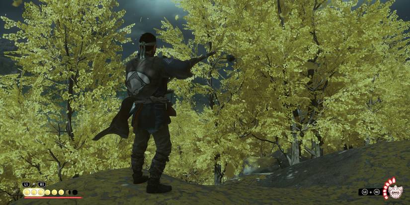 Ghost of tsushima ghost meter full