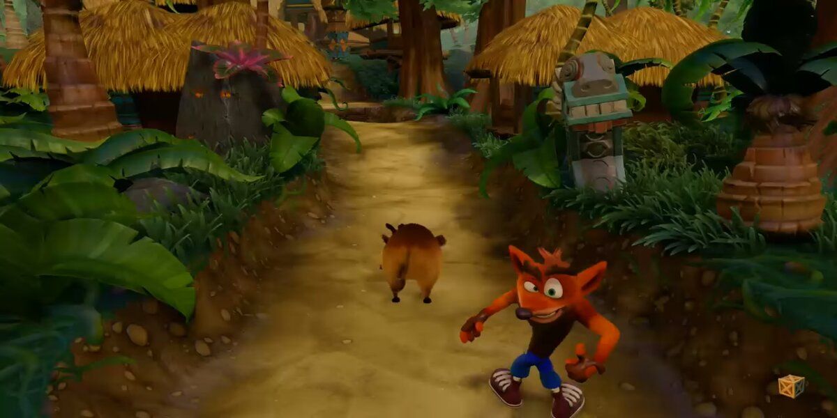 Crash Bandicoot in the level Hog Wild