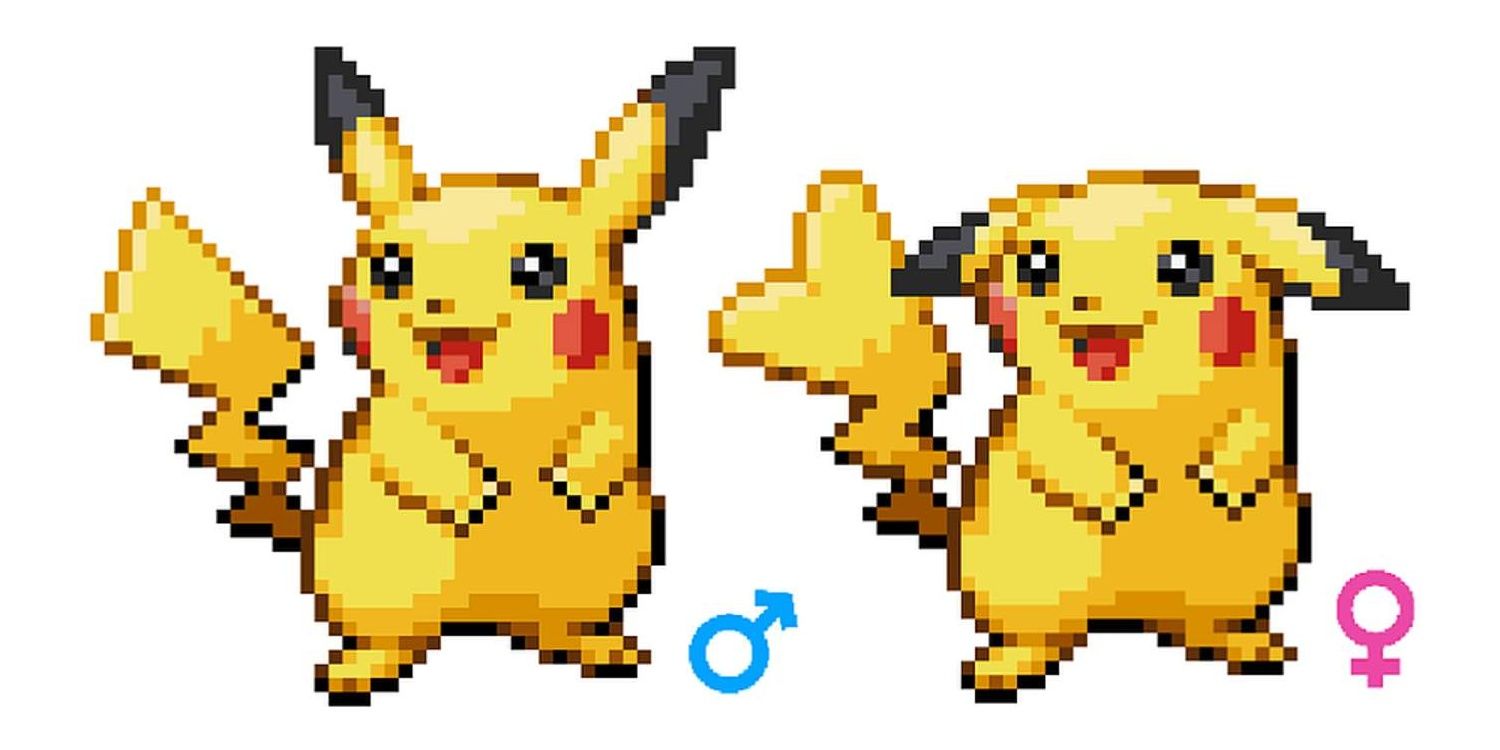 The male and female versions of Pikachu