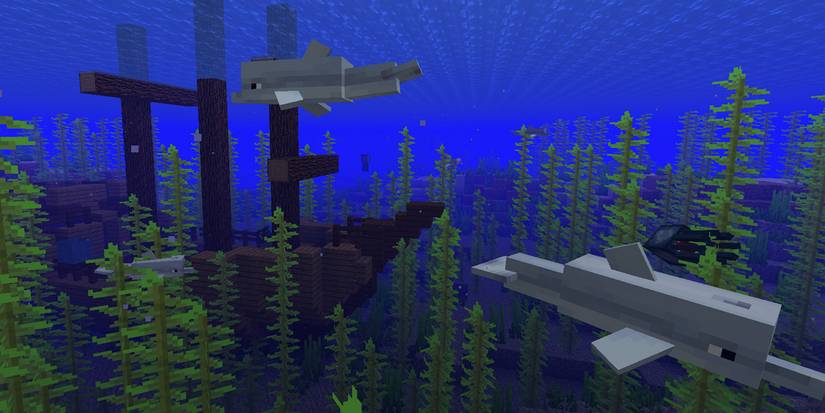 minecraft underwater dolphin shipwreck