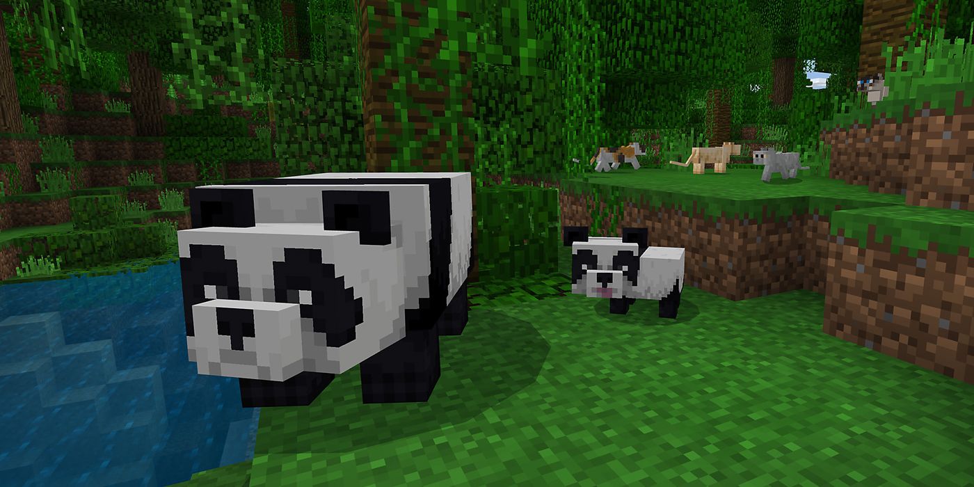 minecraft panda jungle