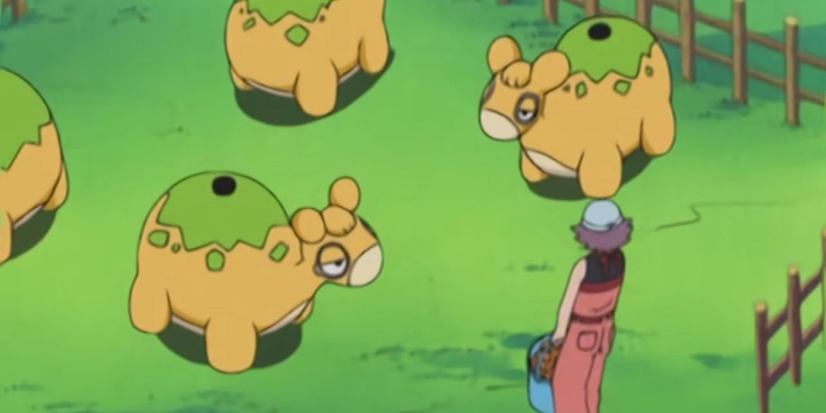 Pokemon Anime Numel Herd