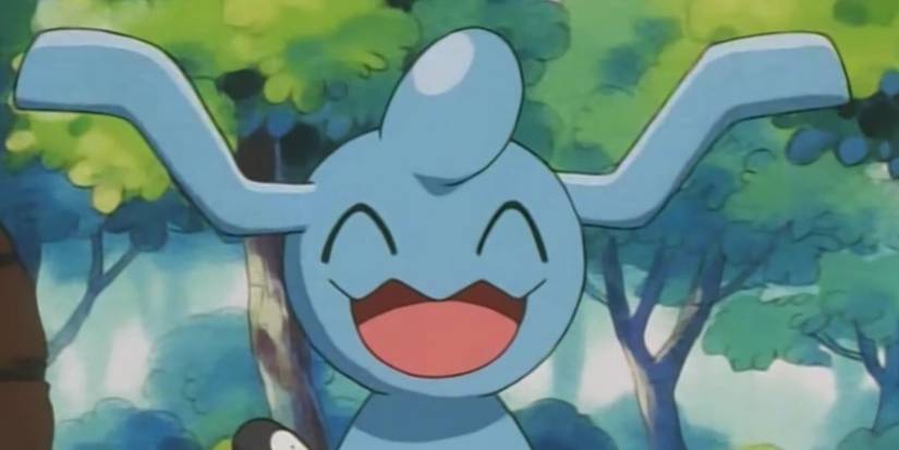 Pokemon Anime Wynaut Smile