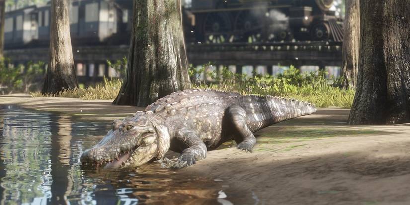 Alligator Rdr2 Compendium Red Dead Redemption 2: 10 Tips For Defeating The Legendary Bullgator