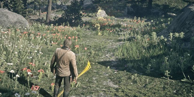 Arthur Morgan using eagle eye to follow a legendary animal