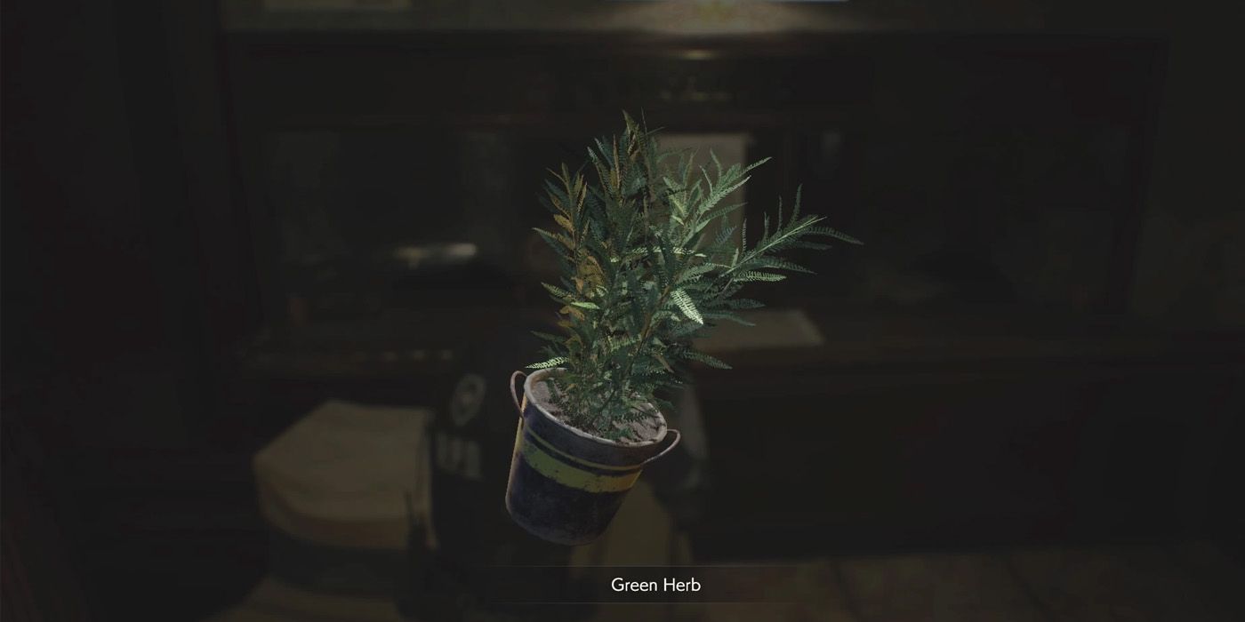 The Green Herb