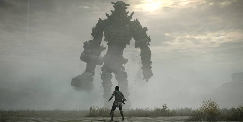 Wander looking at imposing Colossus