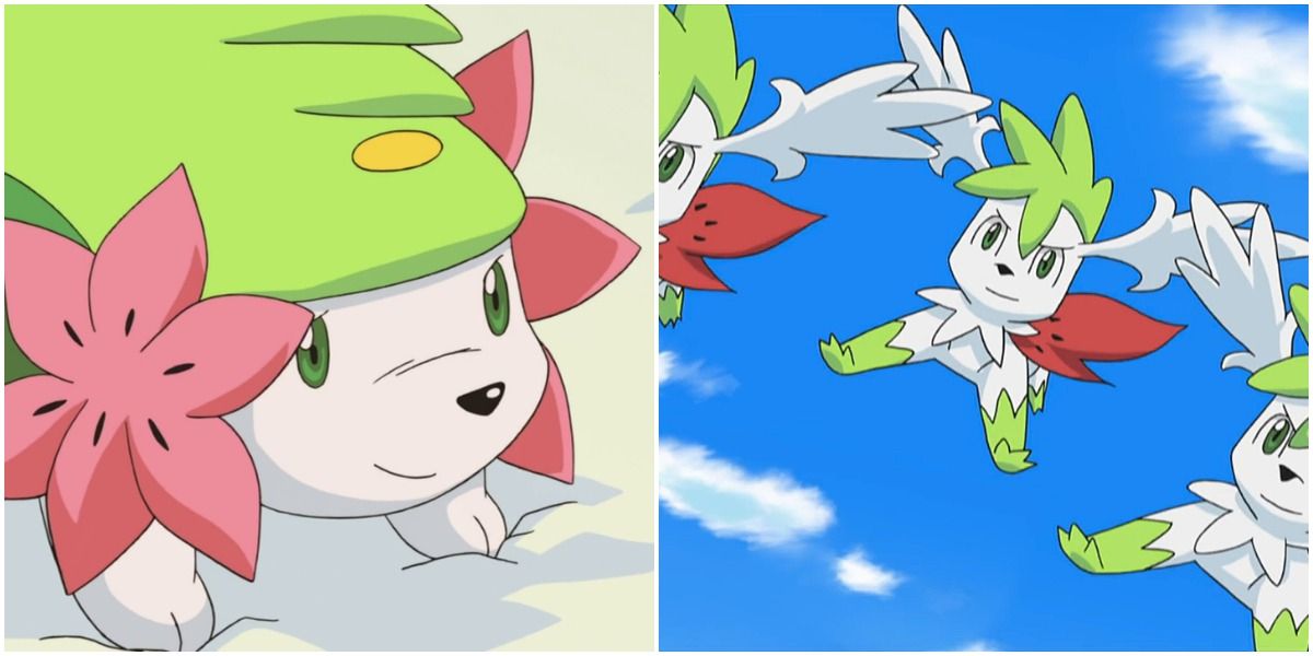 Shaymin Land and Skye Forme