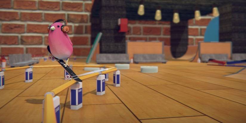 SkateBirdScreenshot