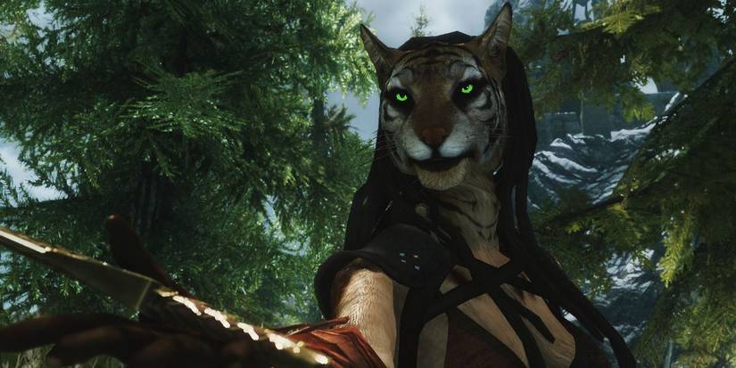 Skyrim Khajiit Character