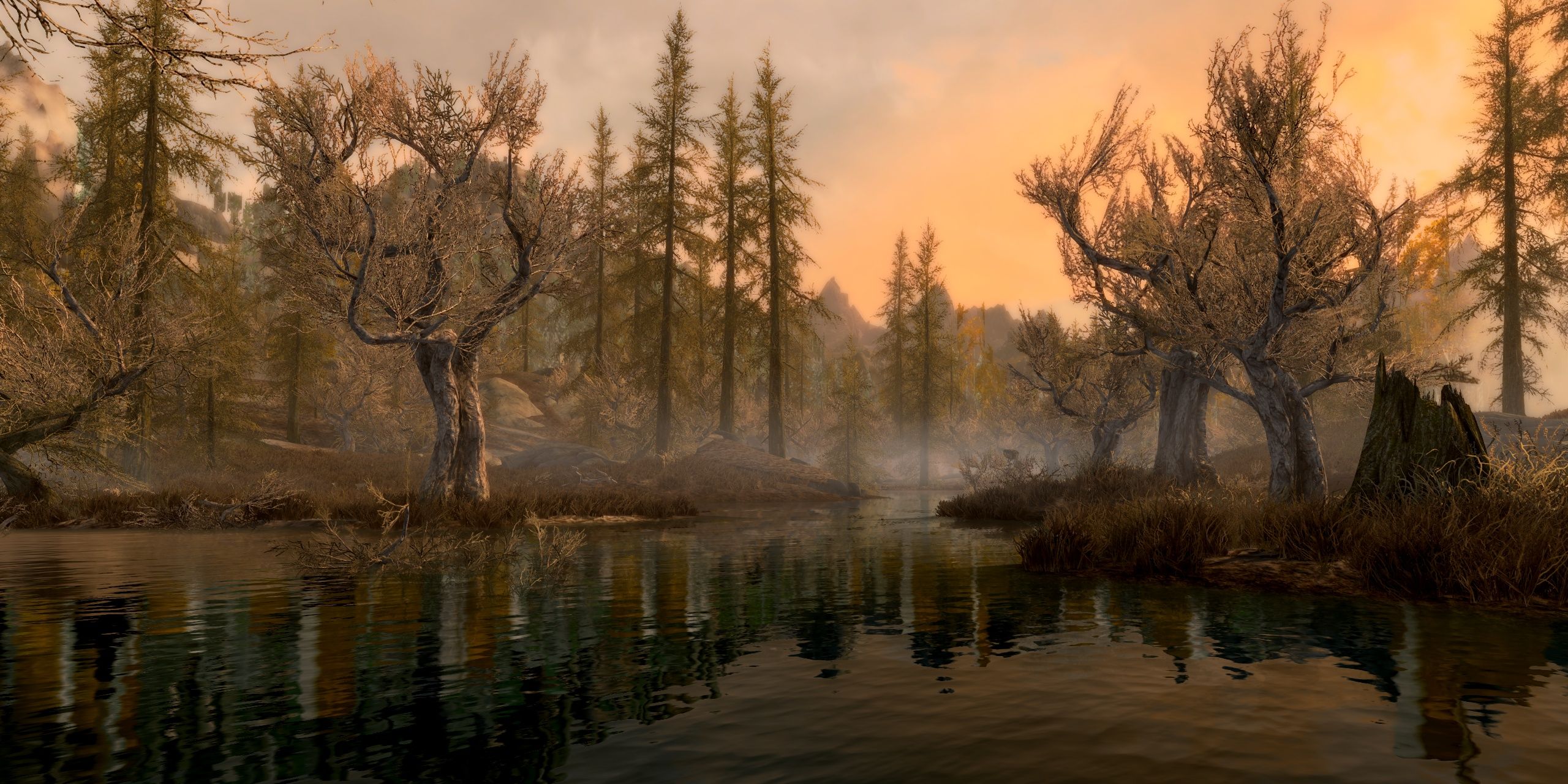 https://www.reddit.com/r/skyrim/comments/70l4xs/a_rare_moment_of_peace_in_the_morthal_swamps/